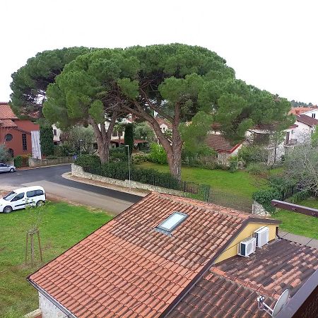 Apartments Ingrid Novigrad Istria Buitenkant foto
