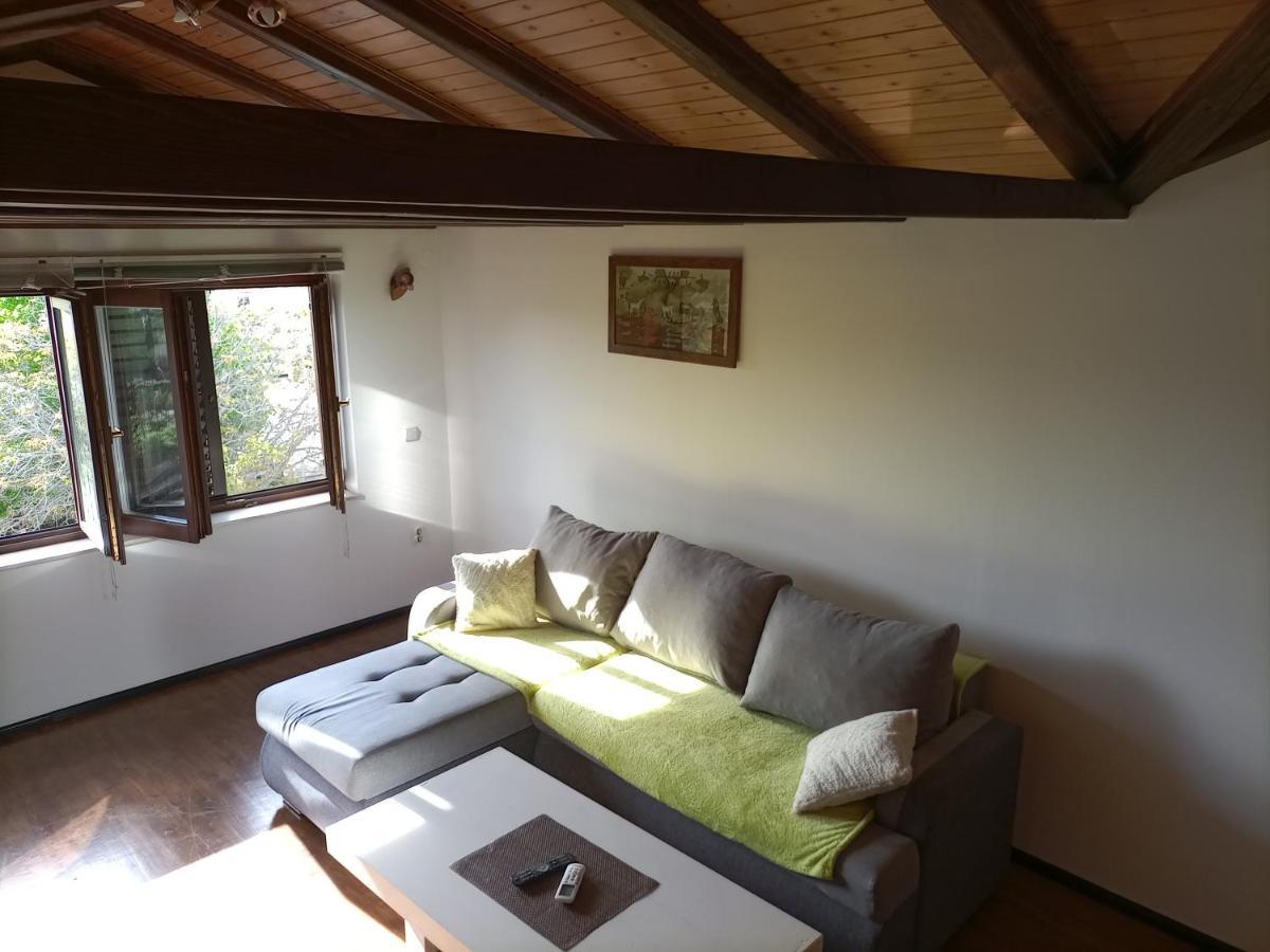 Apartments Ingrid Novigrad Istria Buitenkant foto