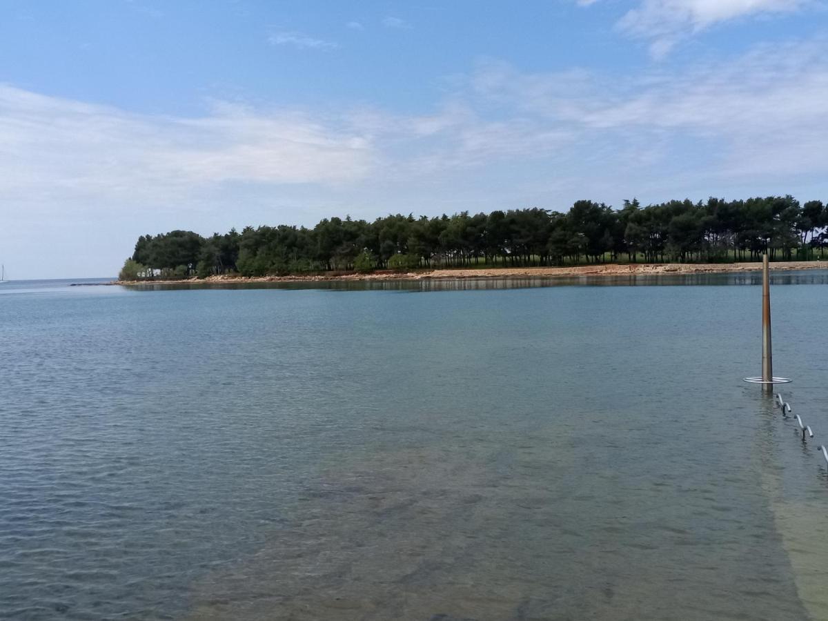 Apartments Ingrid Novigrad Istria Buitenkant foto