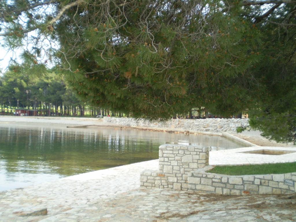 Apartments Ingrid Novigrad Istria Buitenkant foto