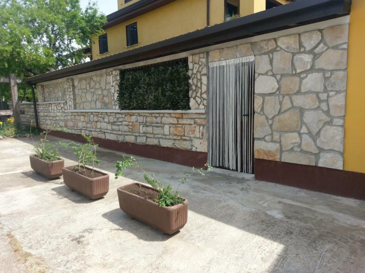 Apartments Ingrid Novigrad Istria Buitenkant foto