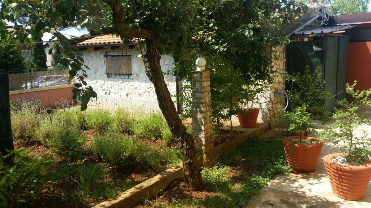 Apartments Ingrid Novigrad Istria Buitenkant foto