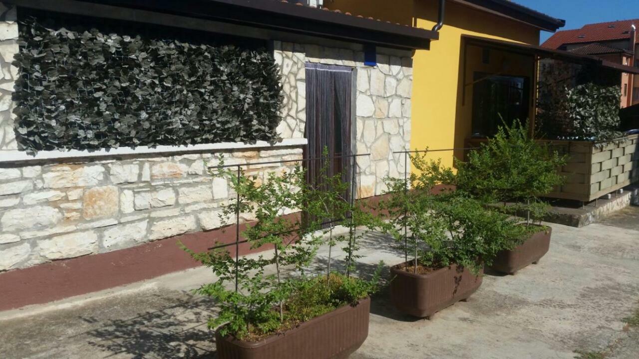 Apartments Ingrid Novigrad Istria Buitenkant foto