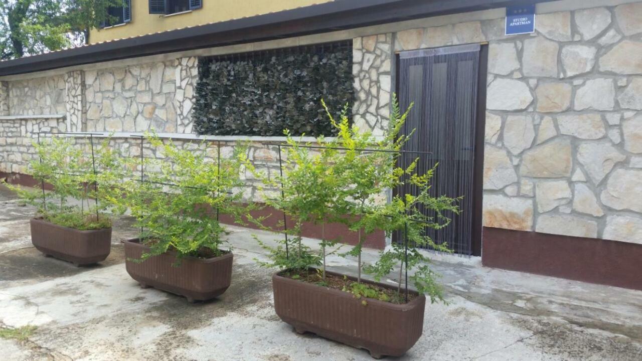 Apartments Ingrid Novigrad Istria Buitenkant foto